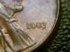 2003 cud-2.jpg