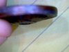 Picture 003.jpg