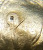 20191109_072325.jpg