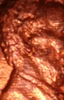 Screenshot_20191115-103909~2.png