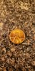 1964_penny.jpg