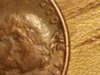 20191125_052938.jpg
