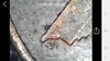 Screenshot_20191127-195516_HV-Cam.jpg