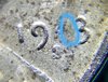 20191129_155316.jpg