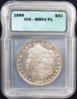 Slabbed DMPL and PL Morgans 033 (Medium).jpg
