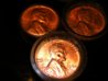 penny 004.jpg