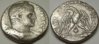 tyre-phoenicia_tetradrachm_caracalla_13.79grams_murex-shell_obv_02_rev_03_95%.JPG