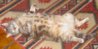 kita_may-31-2009_02.JPG