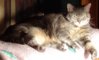kita_sunbeam_02_jan-18-2011.JPG