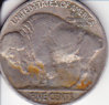 buffalo1937r.jpg
