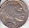 buffalo1937.jpg