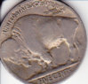 buffalo1927r.jpg