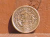 SDC10165.JPG