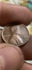 DC2D8102-2242-41EC-961B-AD3950037525.png