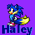 Haley_Foxhog