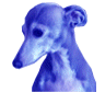 XpipedreamR