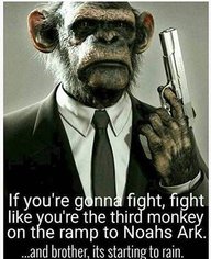 TheGambler88