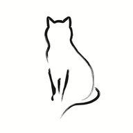 koinkitty