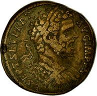 Salaethus