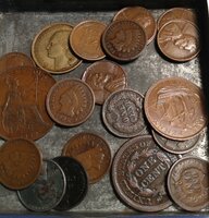 Penny Luster