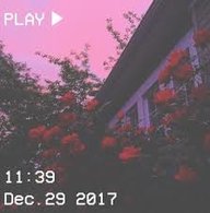 misoberry