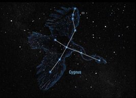 CygnusCC