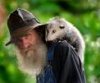 Todd Volker