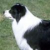 JuliaDoggieMom