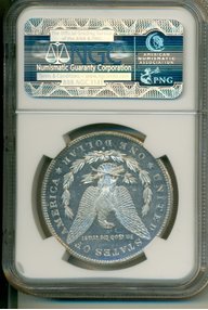 coppell_collect