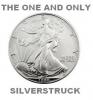 Silverstruck4