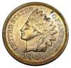 indianpenny