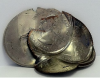 Hi-Ho Silver