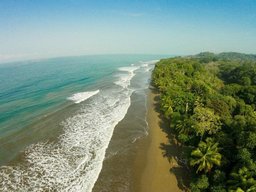 Puravida