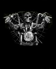 HarleyD34
