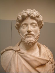 AntonineVerve