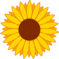 Sunflower_Coins