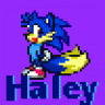 Haley_Foxhog
