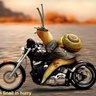 TurboSnail