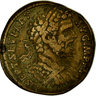 Salaethus