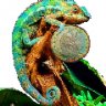 CHAMELEON