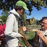 Gecko99
