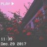 misoberry