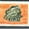 kovasati