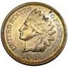 indianpenny