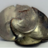 Hi-Ho Silver