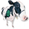 moobid
