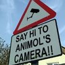 ANiMoL