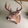 Sawbuck2860