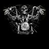 HarleyD34