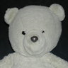 Tebbiebear